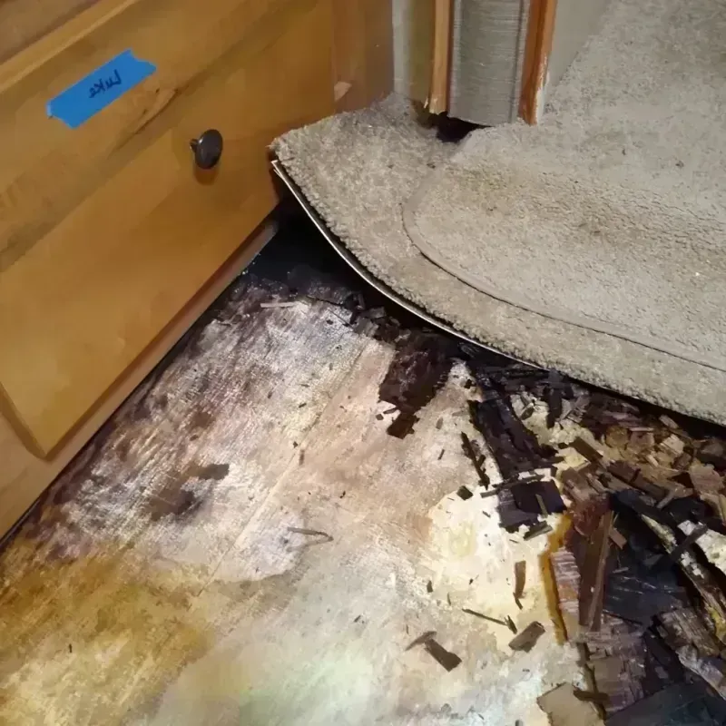 Wood Floor Water Damage in Trenton, NJ